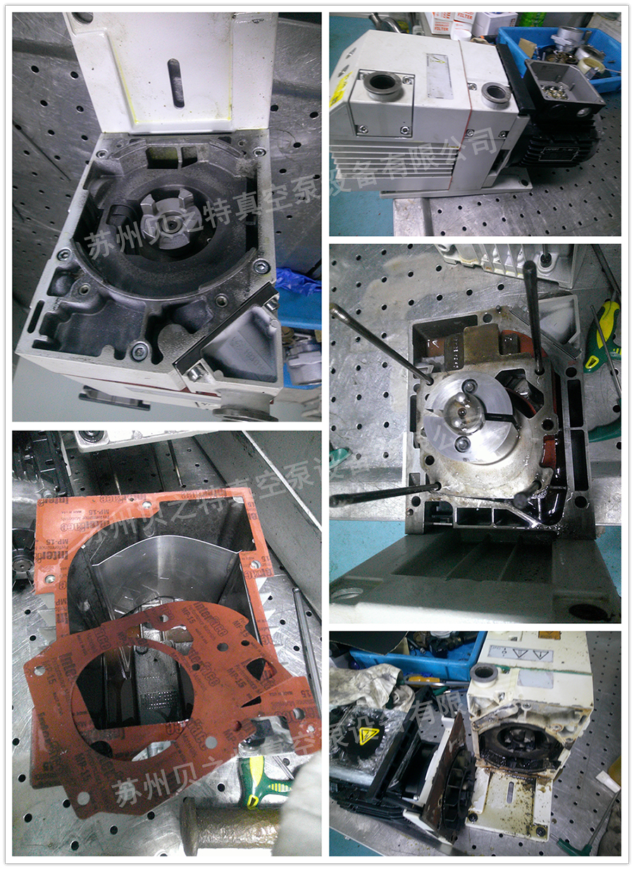 萊寶真空泵D16B維修現場