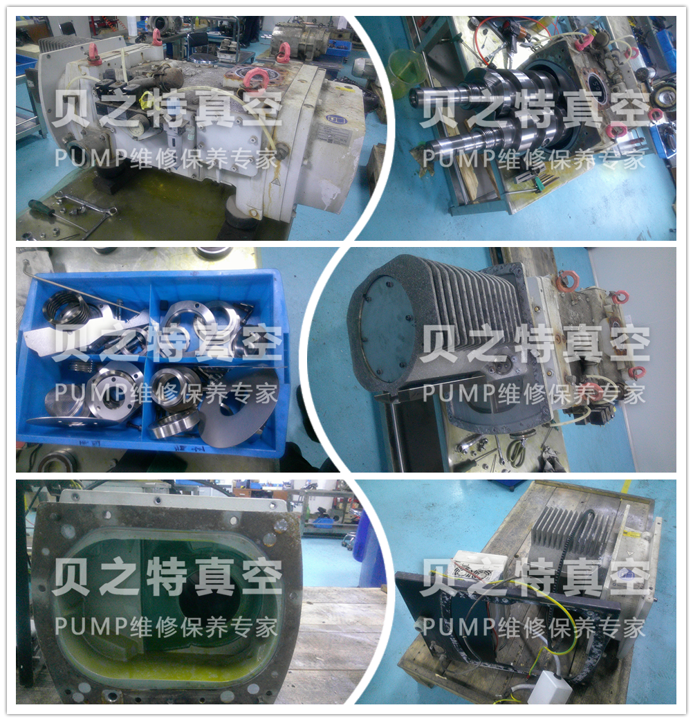 dv450萊寶真空泵維修保養